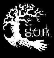 logo Shades Of Remembrance